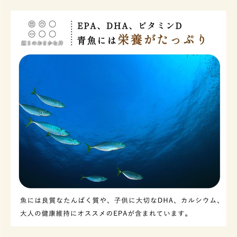 魚惣菜 おさかな丼 5種類5食セット レトルト 魚総菜 詰め合わせ福袋 北海道産 時短惣菜 丼物 海鮮 さば味噌 ニシン親子丼｜109-sen｜12