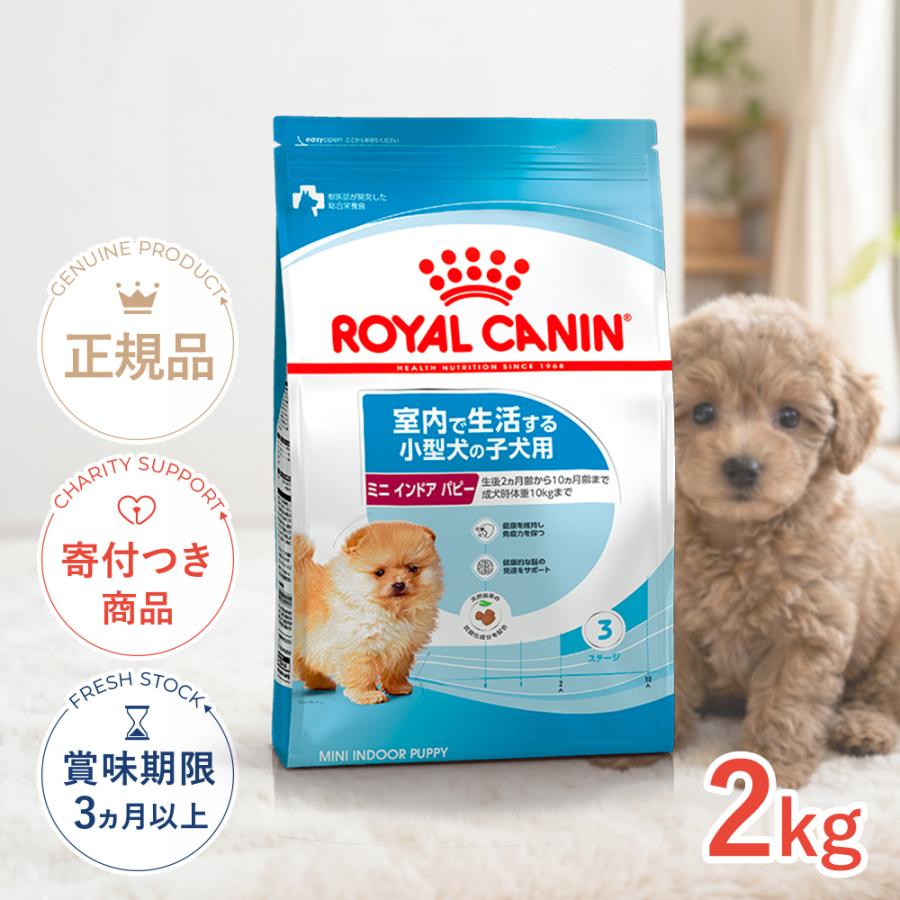 犬用品 ROYAL CANIN ミニ インドア パピー 10kg