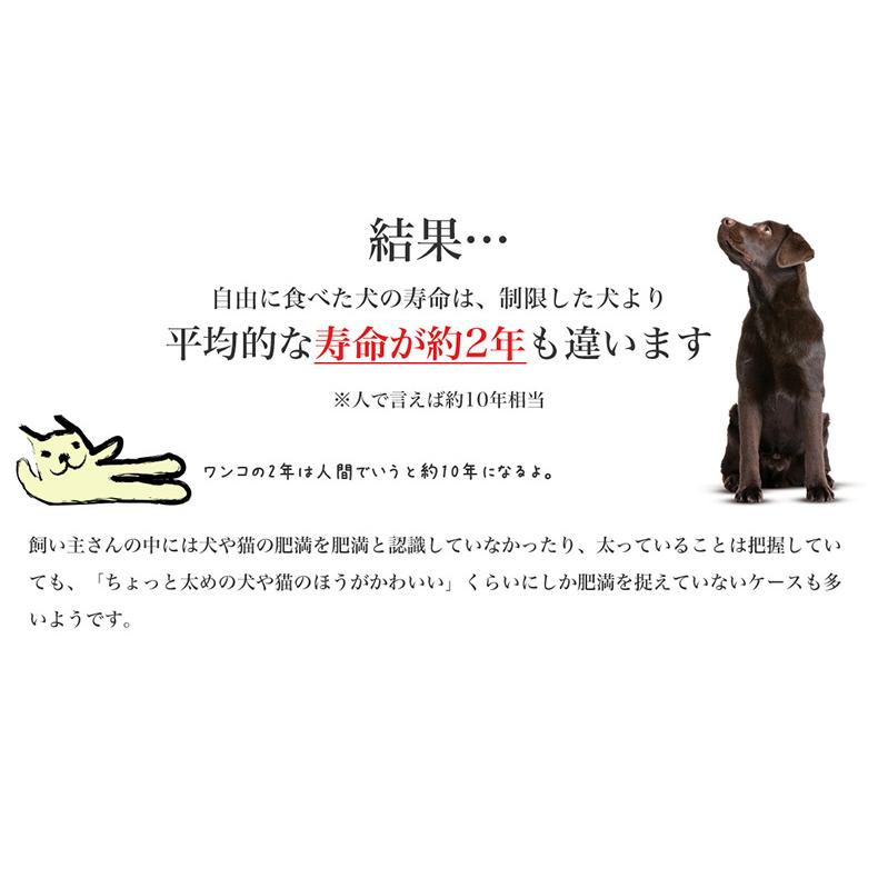 ロイヤルカナン（ROYAL CANIN） ミニ ライト ウェイト ケア 8kg / 小型