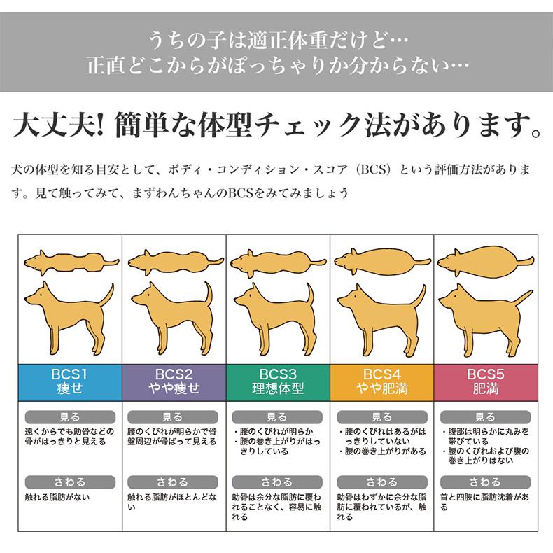 ロイヤルカナン ミニ ライト ウェイト ケア 8kg / 小型犬 減量したい犬用（生後10ヵ月齢以上） / CCN 犬 ドライフード ジッパー有り｜1096dog｜13