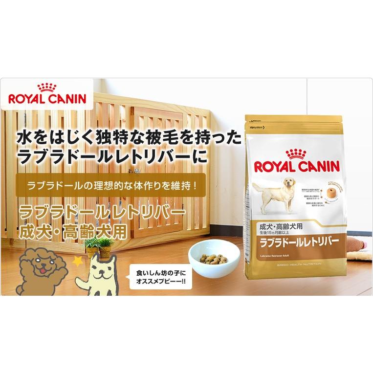 ロイヤルカナン ラブラドールレトリバー 成犬〜高齢犬用 12kg / ラブラドールレトリバー 成犬〜高齢犬用（生後15ヵ月齢以上