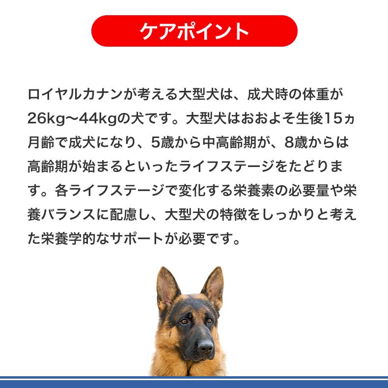 ロイヤルカナン マキシ アダルト 5+ 15kg / 大型犬(成犬時体重 ロイヤルカナン マキシ アダルト 5+ 15kg / 大型犬(成犬時体重