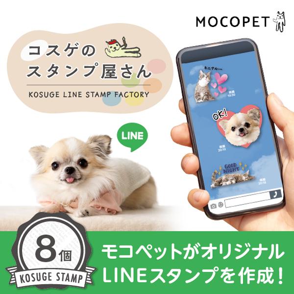 オリジナルlineスタンプ制作 写真使用8個コース 犬 猫 うさぎ 小動物などなどラインスタンプ作ります モコペット L 01 8 L 01 08 モコペット 通販 Yahoo ショッピング