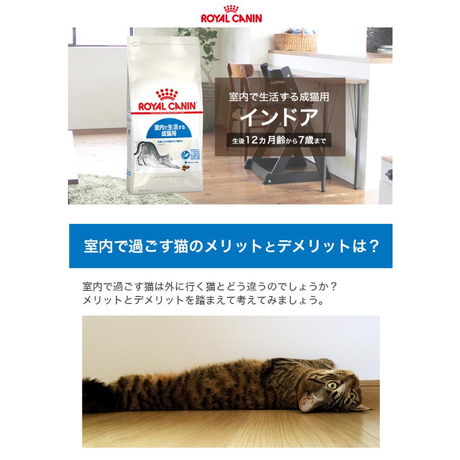 【お得な2個セット】ロイヤルカナン インドア 4kg / 室内で生活する成猫用（生後12ヵ月齢から7歳まで） / ドライフード ジッパー有り｜1096dog｜08