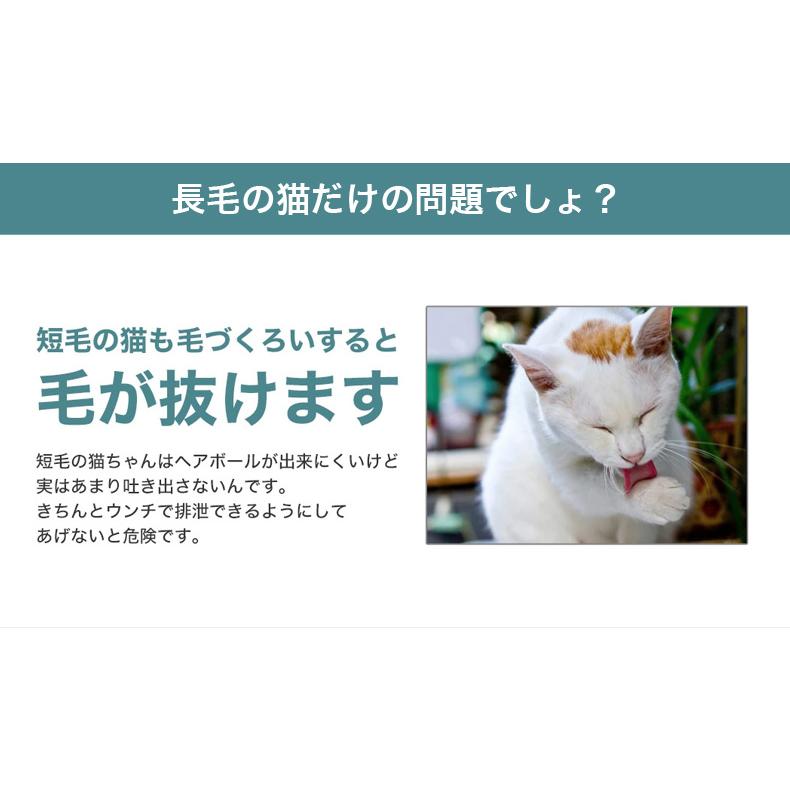 【お得な5個セット】ロイヤルカナン ヘアボール ケア 2kg / 毛玉が気になる成猫用（生後12ヵ月齢以上） / FCN 猫 ドライフード ジッパー有り｜1096dog｜11