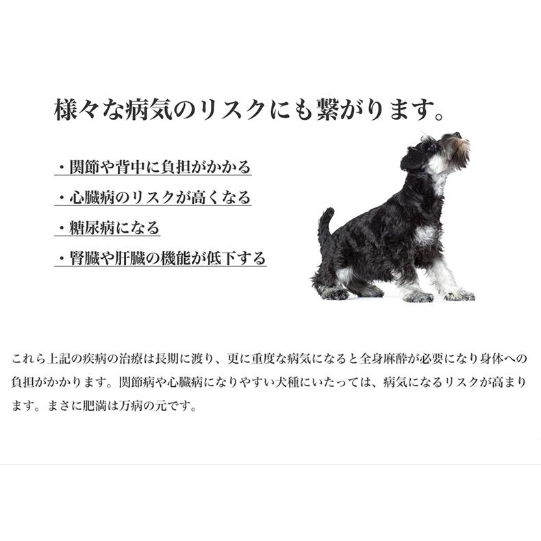  CANIN 減量したい犬用 8kg✕2パック 51IlIsLuUgL._AC_SY200_QL15_.jpg