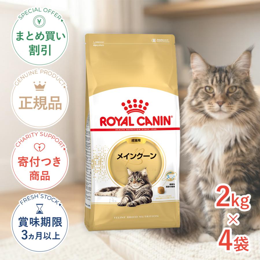  CANIN メインクーン 成猫用 ドライフード　2kg×4袋 ロイヤルカナン（ROYAL CANIN） 【お得な4個セット】ロイヤルカナン