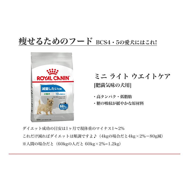 ロイヤルカナン 【お得な2個セット】ロイヤルカナン ミニ ロイヤルカナン 【お得な2個セット】ロイヤルカナン ミニ
