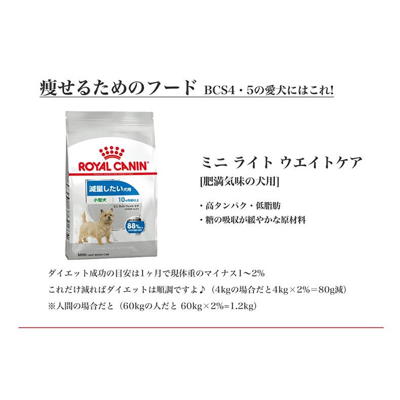 【お得な2個セット】ロイヤルカナン ミニ ステアライズド 8kg / 小型犬 避妊・去勢犬用（生後10ヵ月齢以上） / CCN 犬 ドライフード ジッパー有り｜1096dog｜19