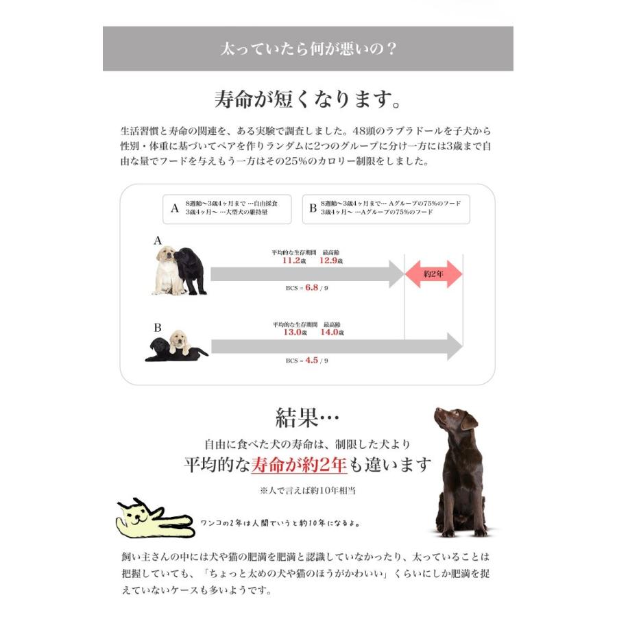 お得な2個セット ロイヤルカナン ミニ ステアライズド 8kg 2個 成犬用 避妊 去勢犬用 生後10ヶ月齢以上 小型犬用 Stw 1998 Ccn Rcsc Stw 1998 00 00 モコペット 通販 Yahoo ショッピング