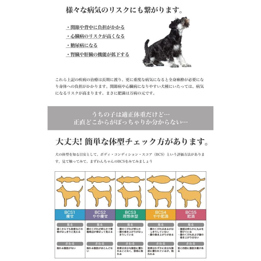 【お得な2個セット】ロイヤルカナン ミニ ステアライズド 8kg / 小型犬 避妊・去勢犬用（生後10ヵ月齢以上） / CCN 犬 ドライ