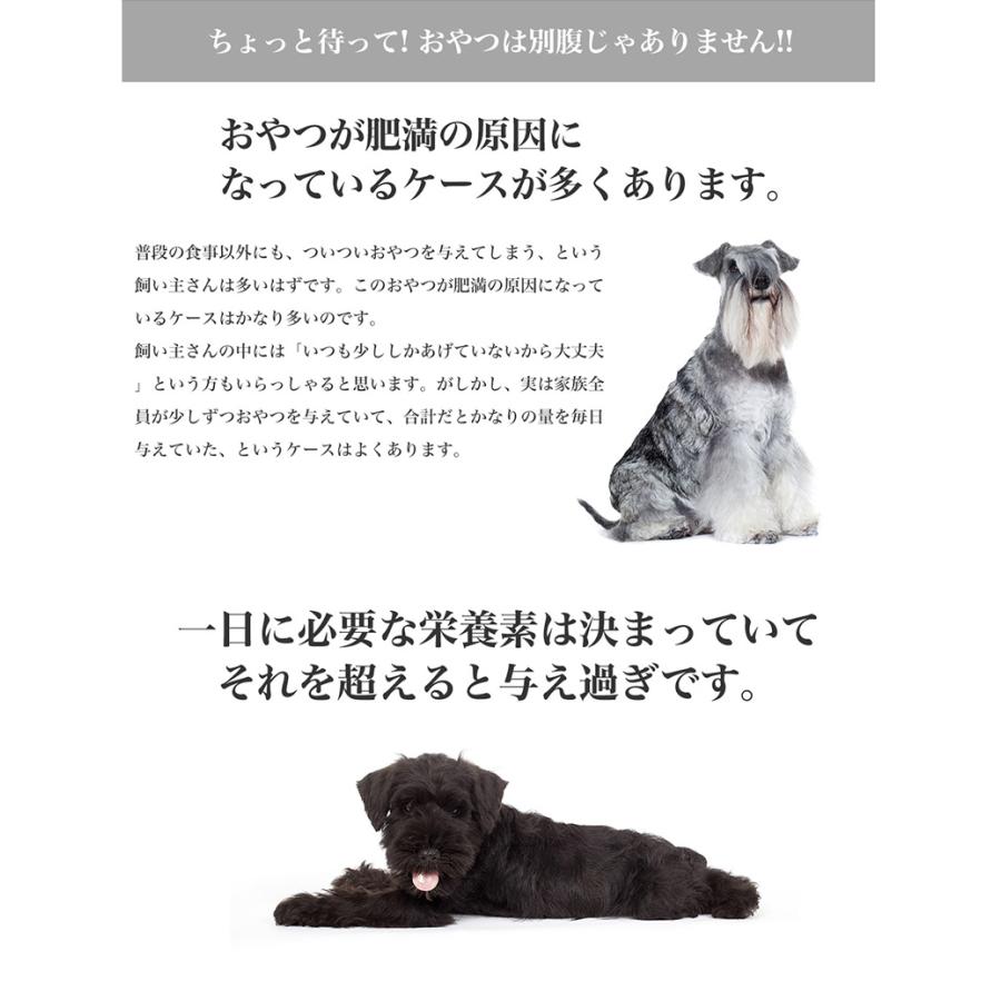 【お得な2個セット】ロイヤルカナン ミニ ステアライズド 8kg / 小型犬 避妊・去勢犬用（生後10ヵ月齢以上） / CCN 犬 ドライフード ジッパー有り｜1096dog｜16