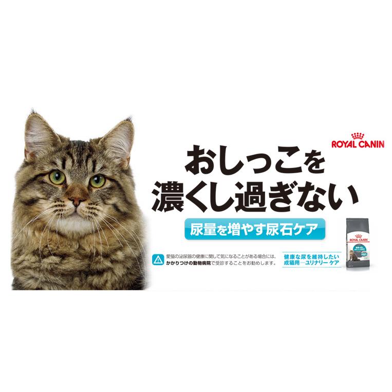 ロイヤルカナン ユリナリーケア 成猫用 【ドライ 2kg + ウェット 12パック】 尿路結石予防 健康な尿を維持したい成猫用｜1096dog｜02