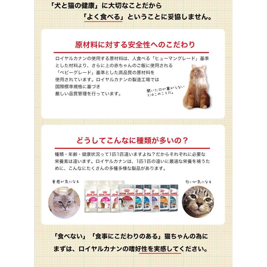 ロイヤルカナン トライアルセット お試し 成猫用 WET6種＆DRY3種 インスティンクティブ ステアライズド ライト ユリナリー【RC_WET】[RC2204]｜1096dog｜04