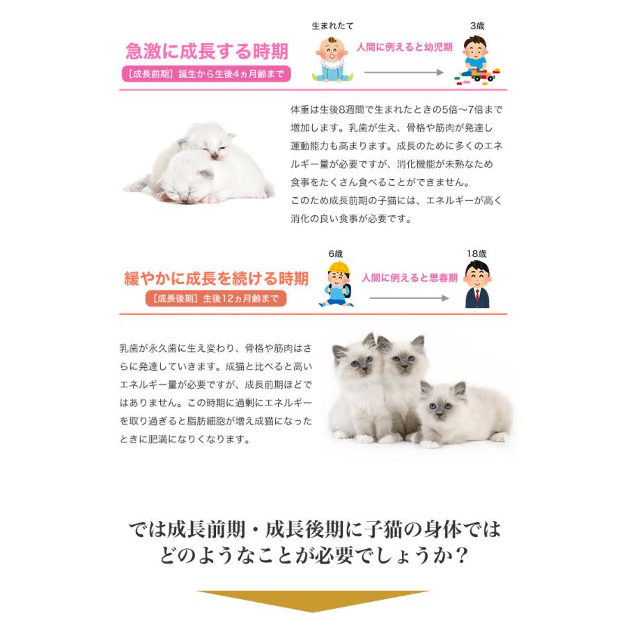 ロイヤルカナン（ROYAL CANIN） 猫用 お試しスターターセット 年齢別
