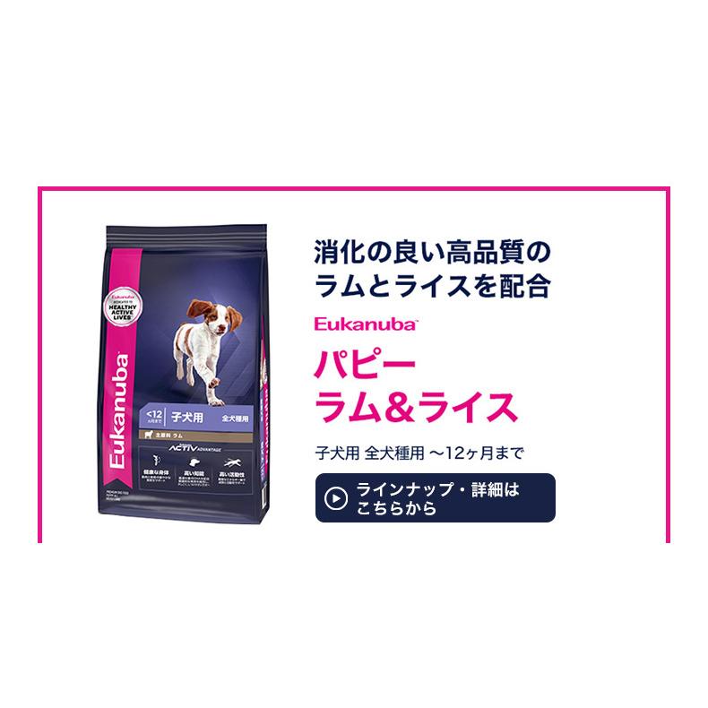 ユーカヌバ（Eukanuba） お試し企画 800g / 小型犬 幼犬 子犬 成犬 老