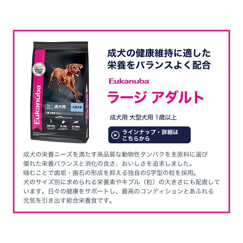ユーカヌバ（Eukanuba） お試し企画 2.7kg / 中型犬 大型犬 子犬 成犬
