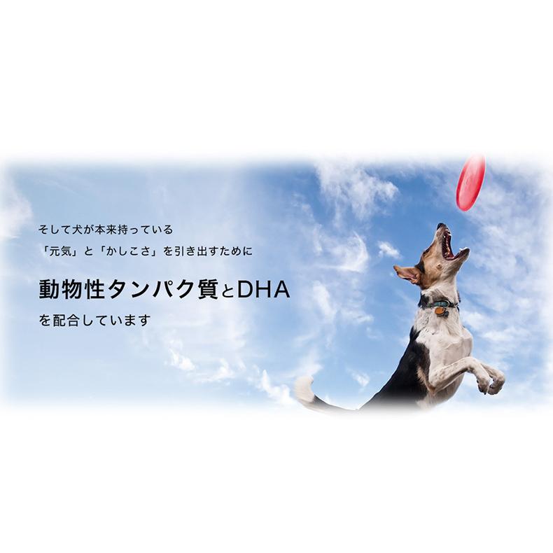 ユーカヌバ お試し企画 2.7kg / 中型犬 大型犬 子犬 成犬 老犬