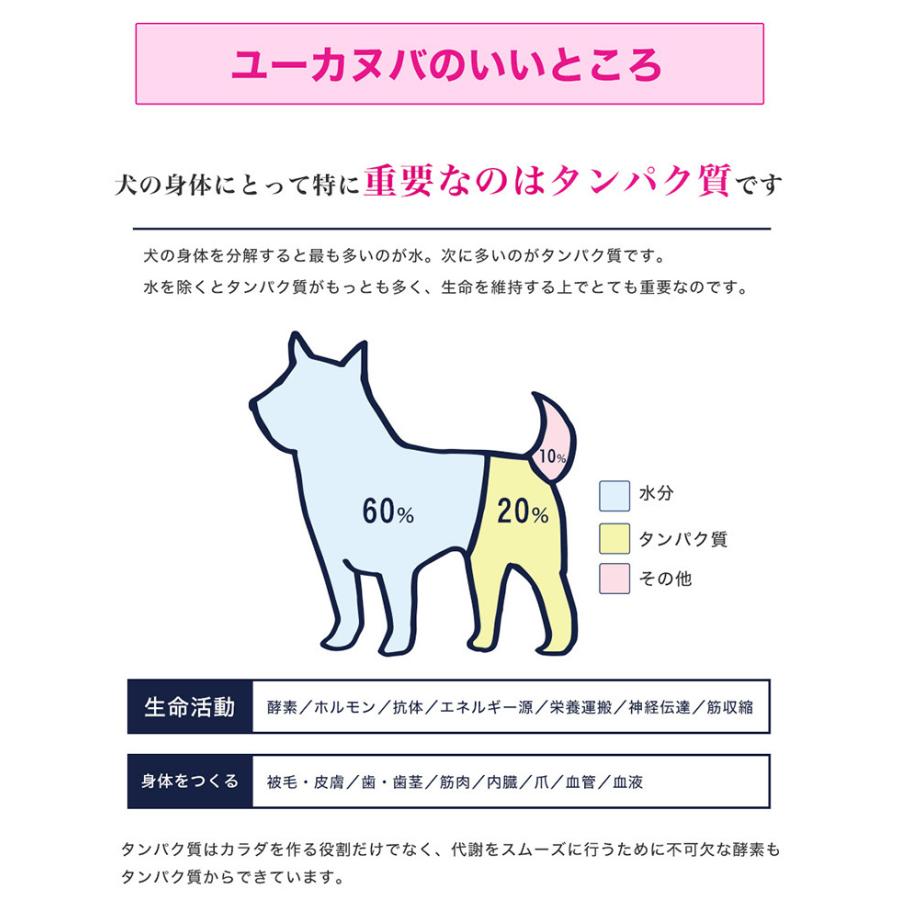 柔らかい ユーカヌバ お試し企画 2 7kg 中型犬 大型犬 子犬 成犬 老犬 体重管理 プレミアムフード 高消化性たんぱく質配合フード Discoversvg Com