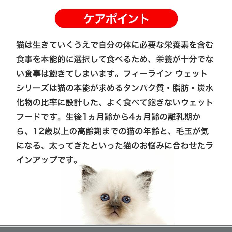 ロイヤルカナン キトン グレービー 85g / 12ヵ月齢までの子猫用 ロイヤルカナン キトン グレービー 85g / 12ヵ月齢までの子猫用