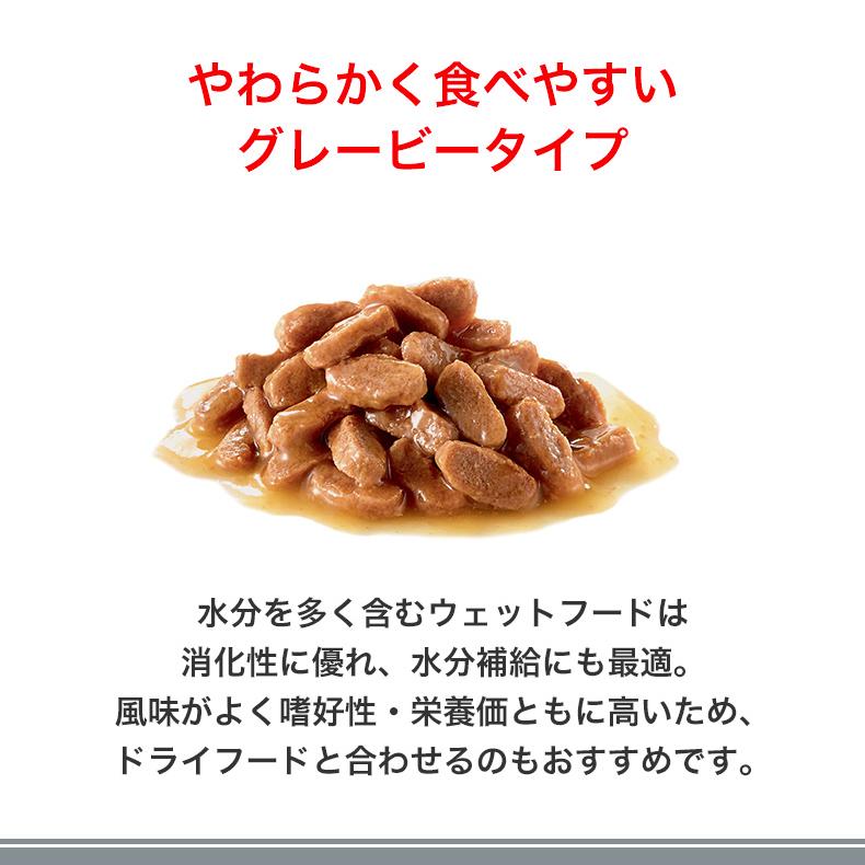 ロイヤルカナン キトン グレービー 85g / 12ヵ月齢までの子猫用 ロイヤルカナン キトン グレービー 85g / 12ヵ月齢までの子猫用