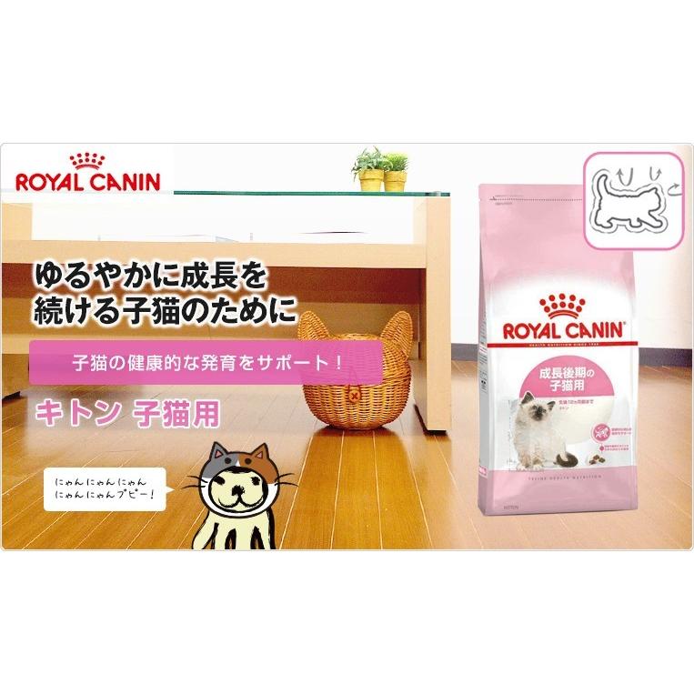 ロイヤルカナン キトン 10kg 生後12ヵ月齢の子猫用 Royal Canin Fhn 猫用ドライ キャットフード 子猫 仔猫 W Rc Dry Rcsc W 00 00 モコペット 通販 Yahoo ショッピング