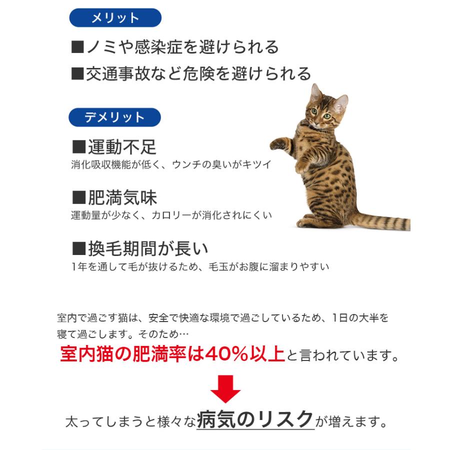 ロイヤルカナン インドア 4kg / 室内で生活する成猫用（生後12ヵ月齢から7歳まで） / ドライフード ジッパー有り｜1096dog｜09