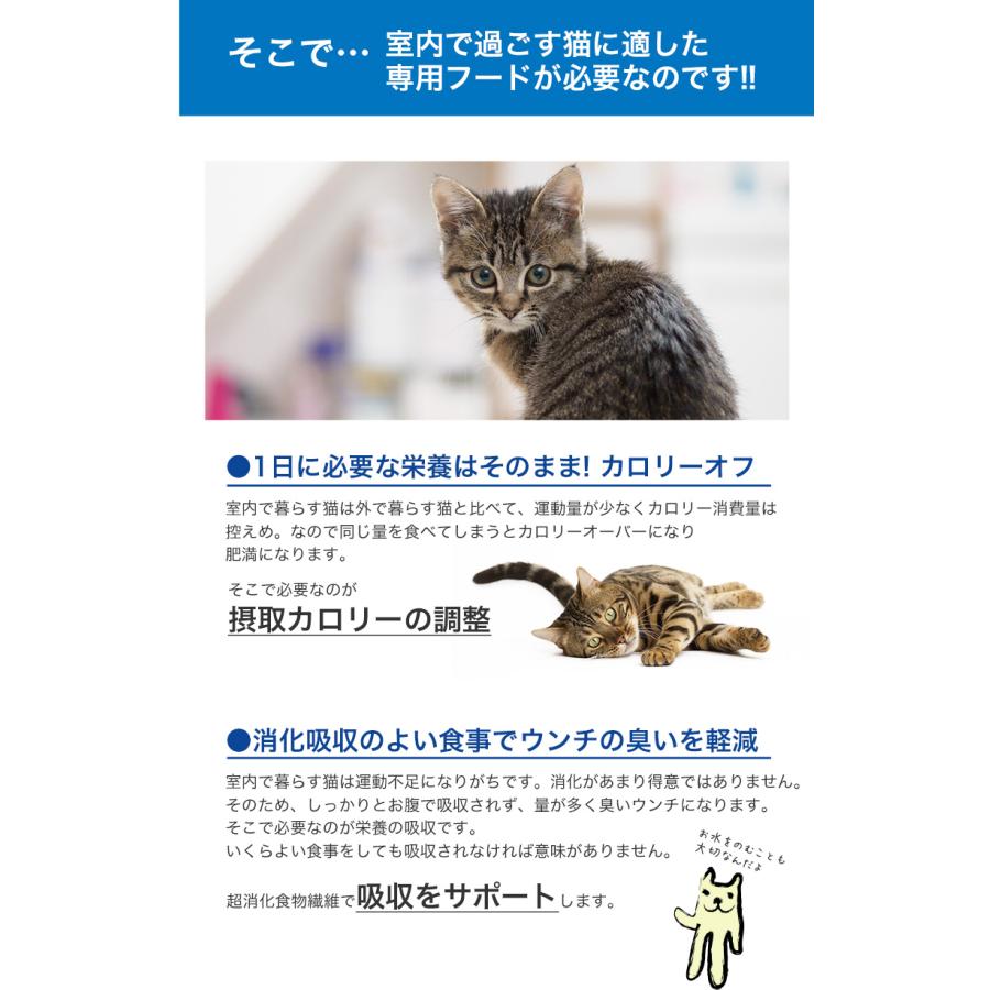 ロイヤルカナン インドア 4kg / 室内で生活する成猫用（生後12ヵ月齢から7歳まで） / ドライフード ジッパー有り｜1096dog｜10