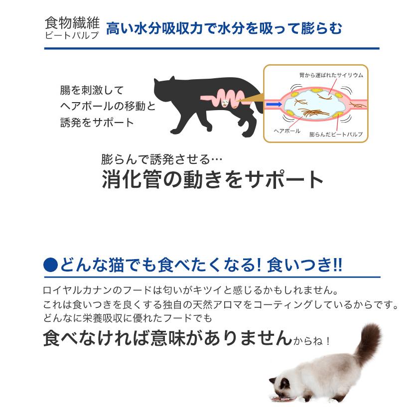 ロイヤルカナン インドア 4kg / 室内で生活する成猫用（生後12ヵ月齢から7歳まで） / ドライフード ジッパー有り｜1096dog｜12