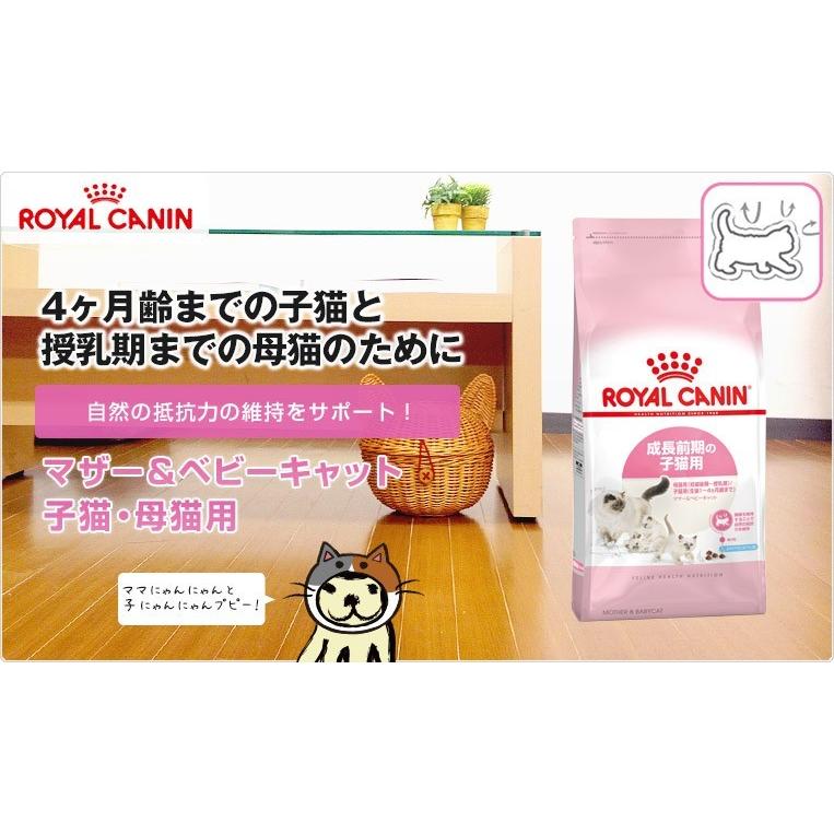 ロイヤルカナン マザー&ベビーキャット 2kg / 成長前期の子猫用 母猫用