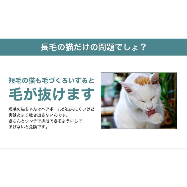 ロイヤルカナン ヘアボール ケア 2kg / 毛玉が気になる成猫用 ロイヤルカナン ヘアボール ケア 2kg / 毛玉が気になる成猫用