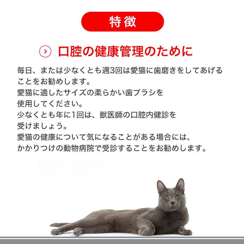 ロイヤルカナン（ROYAL CANIN） デンタル ケア 400g / 歯垢・歯石が気