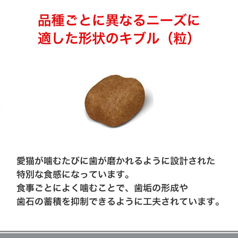 ロイヤルカナン（ROYAL CANIN） デンタル ケア 400g / 歯垢・歯石が気