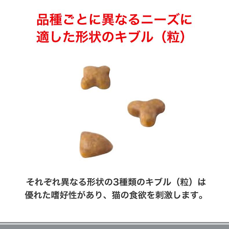 ロイヤルカナン センシブル 15kg / 食が細くやせ気味な成猫用 ロイヤルカナン センシブル 15kg / 食が細くやせ気味な成猫用