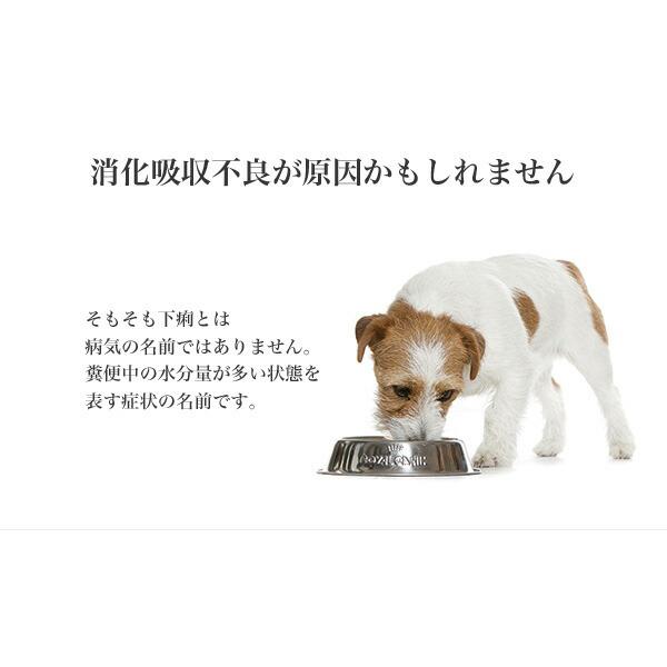 ロイヤルカナン ミニ ダイジェスティブ ケア 3kg / 小型犬 おなかの健康を維持したい犬用（生後10ヵ月齢以上） / CCN 犬 ドライフード ジッパー有り｜1096dog｜09