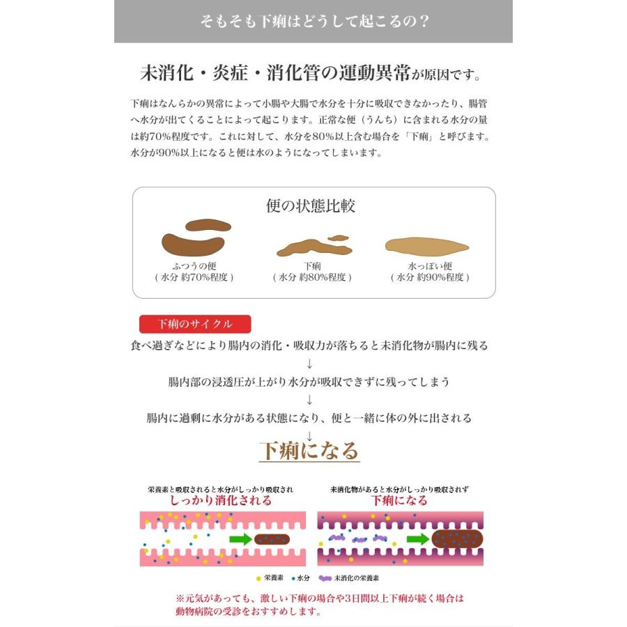 低価格の ロイヤルカナン ミニ ダイジェスティブケア 3kg 成犬用 おなかの健康を維持したい犬用 生後10ヶ月齢以上 小型犬用 W Ccn Rcsc Shipsctc Org