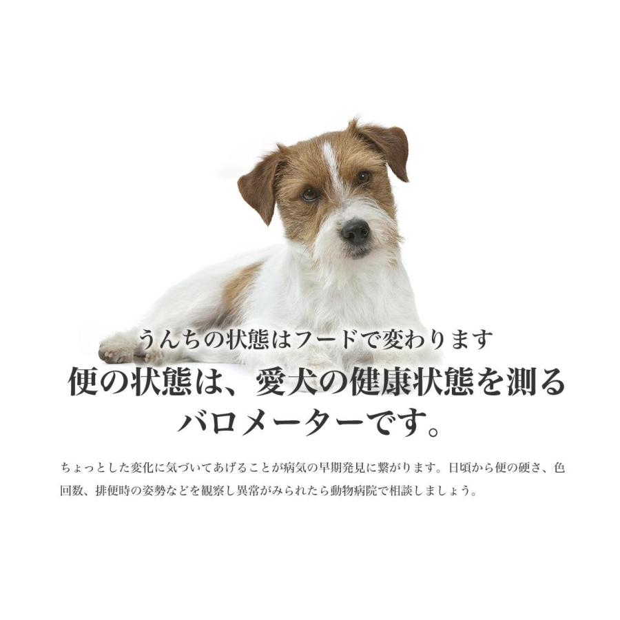 ロイヤルカナン ミニ ダイジェスティブ ケア 3kg / 小型犬 おなかの健康を維持したい犬用（生後10ヵ月齢以上） / CCN 犬 ドライフード ジッパー有り｜1096dog｜15