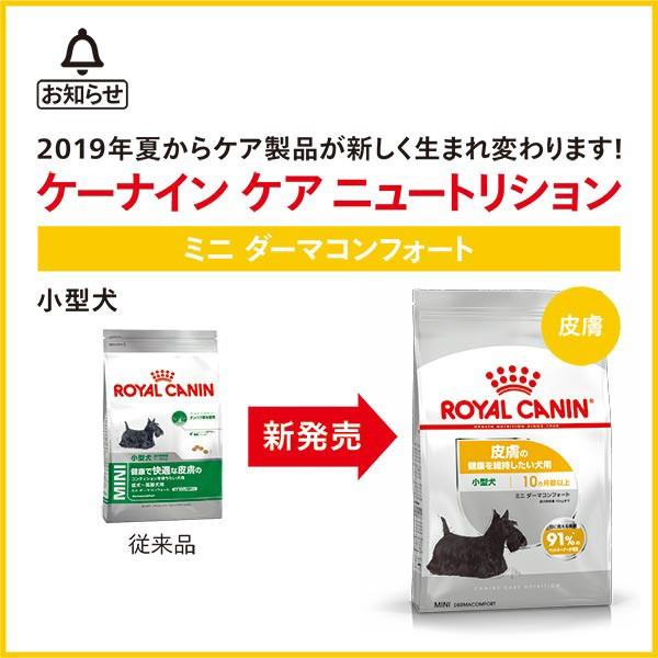ロイヤルカナン ミニ ダーマコンフォート 2kg / 小型犬 皮膚の健康を