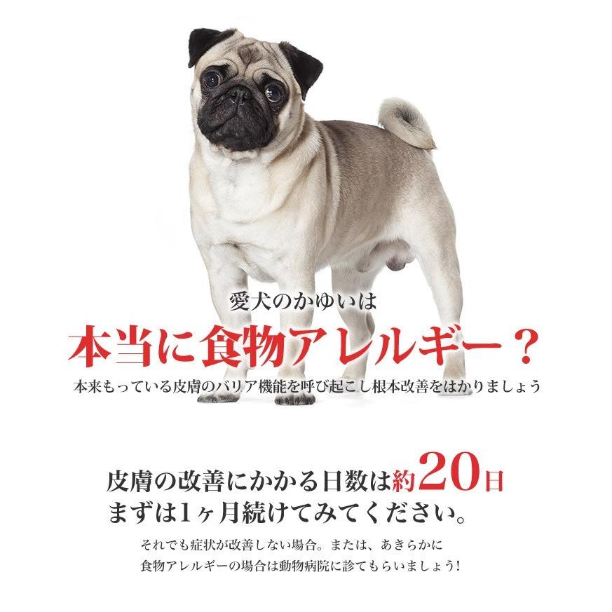 ロイヤルカナン ミニ ダーマコンフォート 2kg / 小型犬 皮膚の健康を