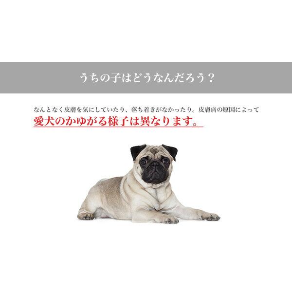 ロイヤルカナン ミニ ダーマコンフォート 2kg / 小型犬 皮膚の健康を