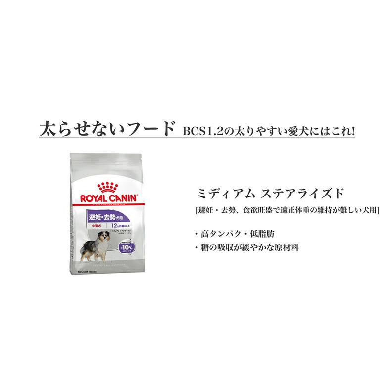 ロイヤルカナン ミディアム ステアライズド 3kg / 中型犬 避妊・去勢犬用（生後12ヵ月齢以上） / CCN 犬 ドライフード ジッパー有り｜1096dog｜20