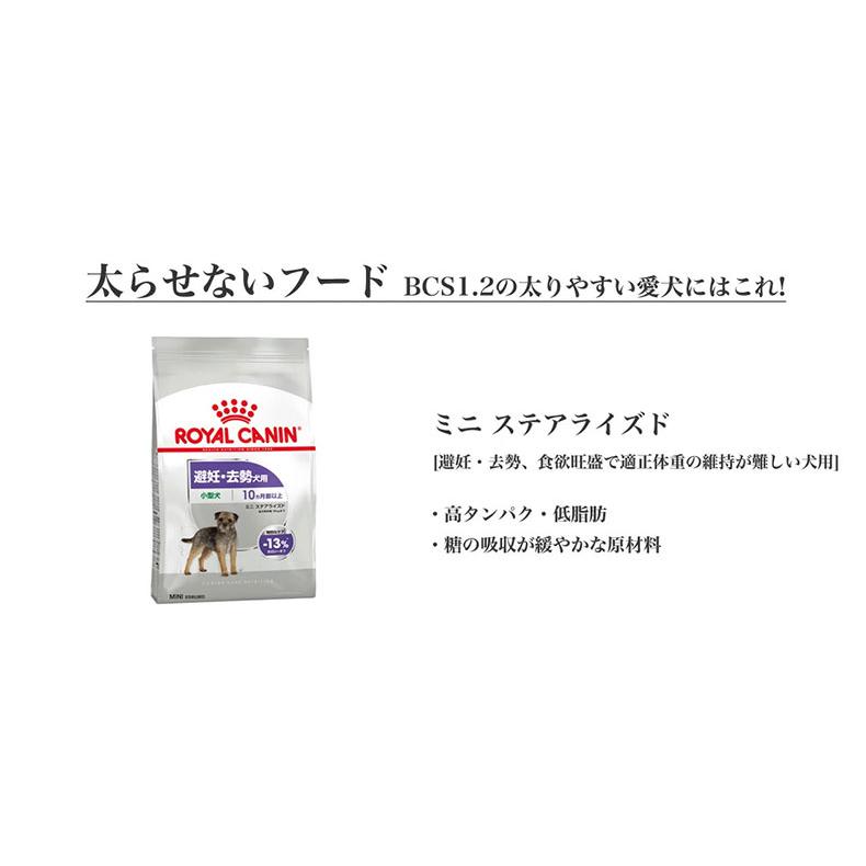 ロイヤルカナン ミニ ステアライズド 8kg / 小型犬 避妊・去勢犬用（生後10ヵ月齢以上） / CCN 犬 ドライフード ジッパー有り｜1096dog｜20