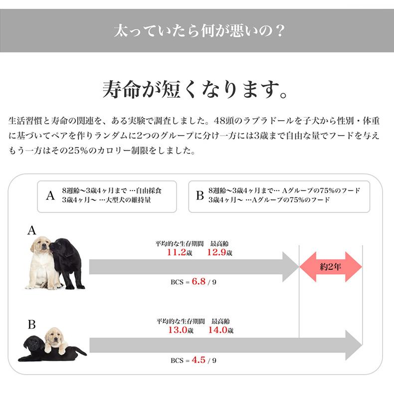 ロイヤルカナン ミニ ステアライズド 8kg / 小型犬 避妊・去勢犬用（生後10ヵ月齢以上） / CCN 犬 ドライフード ジッパー有り｜1096dog｜10