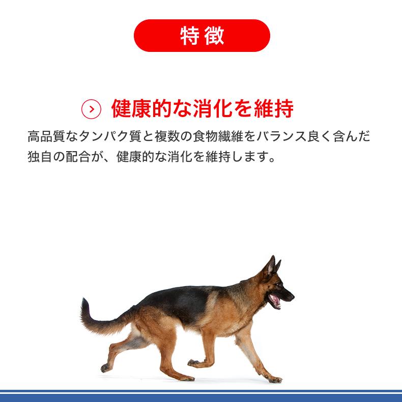 ロイヤルカナン マキシ エイジング 8+ 15kg / 大型犬(成犬時 ロイヤルカナン マキシ エイジング 8+ 15kg / 大型犬(成犬時