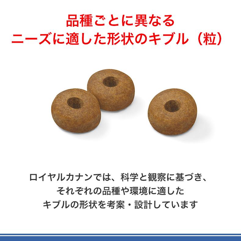 ロイヤルカナン マキシ エイジング 8+ 15kg / 大型犬(成犬時 ロイヤルカナン マキシ エイジング 8+ 15kg / 大型犬(成犬時