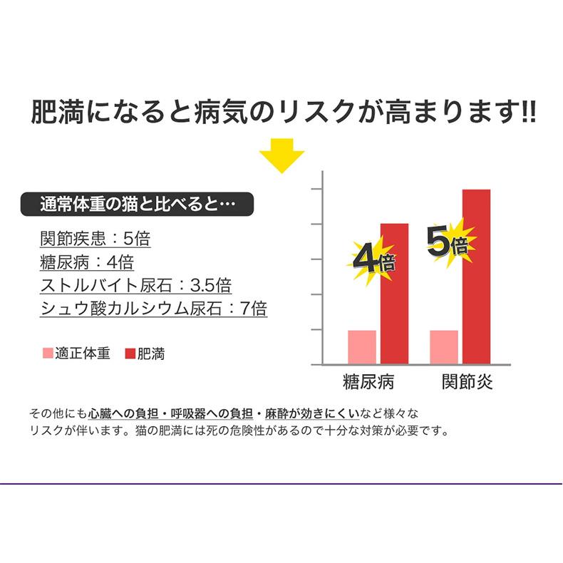 ロイヤルカナン エイジング ステアライズド 12+ 2kg / 避妊・去勢 成猫用 12ヵ歳以上 / ドライフード ジッパー有り｜1096dog｜10