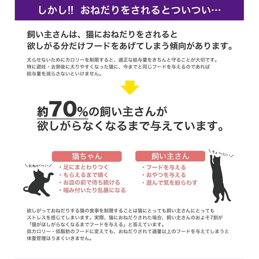 ロイヤルカナン エイジング ステアライズド 12+ 2kg / 避妊・去勢 成猫用 12ヵ歳以上 / ドライフード ジッパー有り｜1096dog｜11