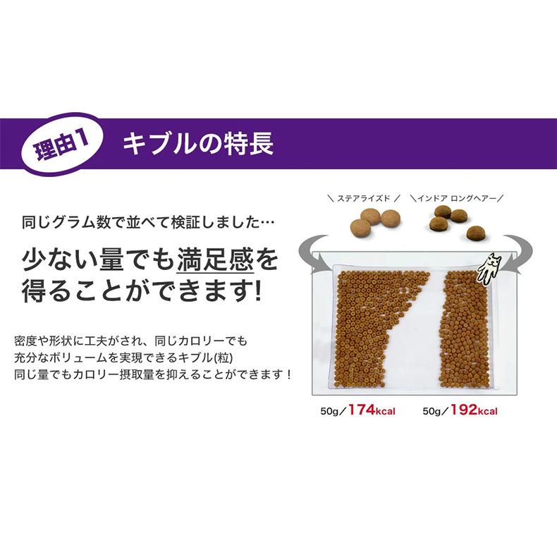 ロイヤルカナン エイジング ステアライズド 12+ 2kg / 避妊・去勢 成猫用 12ヵ歳以上 / ドライフード ジッパー有り｜1096dog｜14