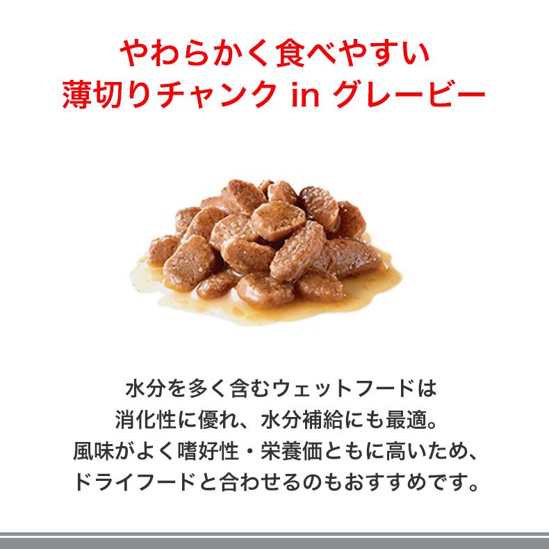 ロイヤルカナン（ROYAL CANIN） 【お得な12個セット】ロイヤルカナン