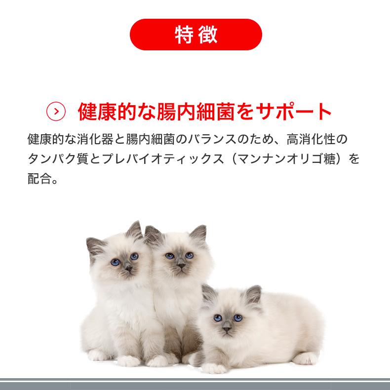 ロイヤルカナン 【お得な12個セット】ロイヤルカナン キトン ロイヤルカナン 【お得な12個セット】ロイヤルカナン キトン